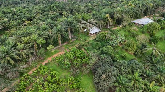 Finca Macondo aereo jpg