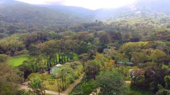 Lancetilla Botanical Garden - aerial view